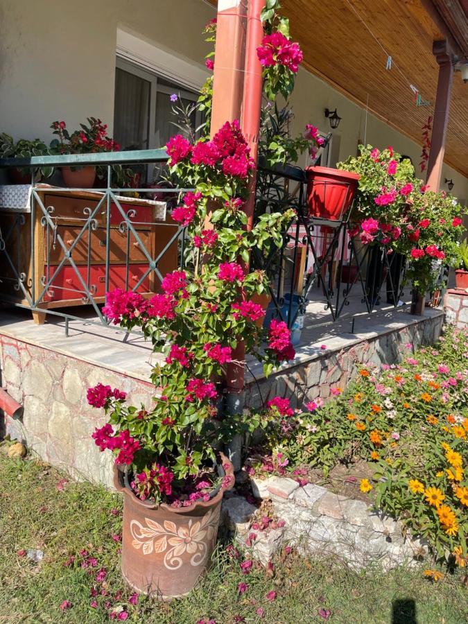 Agapi Hotel Orma Bagian luar foto